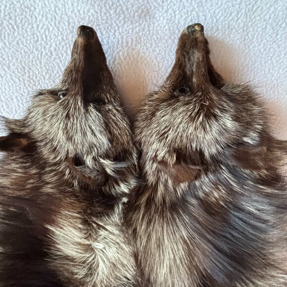 1940s 1950s Double Fox Fur Wrap Full Pelts - Picture 5 of 13